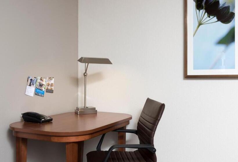 Номер Стандарт Кровать Кинг Адаптированный для Инвалидов, Hyatt Place Lexington