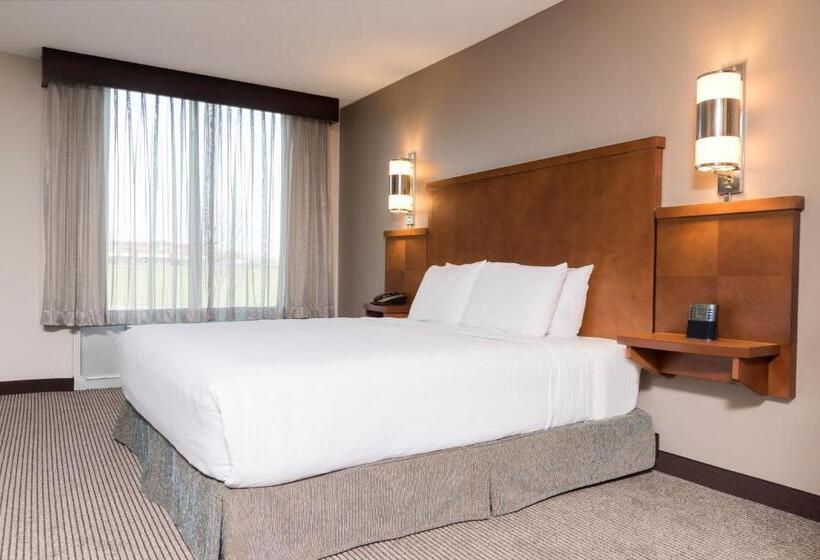 Номер Стандарт Кровать Кинг Адаптированный для Инвалидов, Hyatt Place Lexington