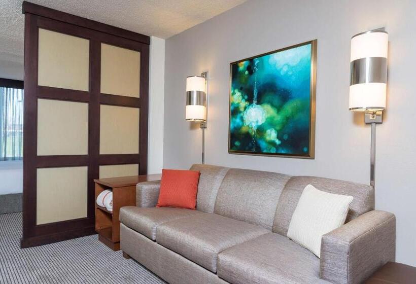 Номер Стандарт Кровать Кинг Адаптированный для Инвалидов, Hyatt Place Lexington