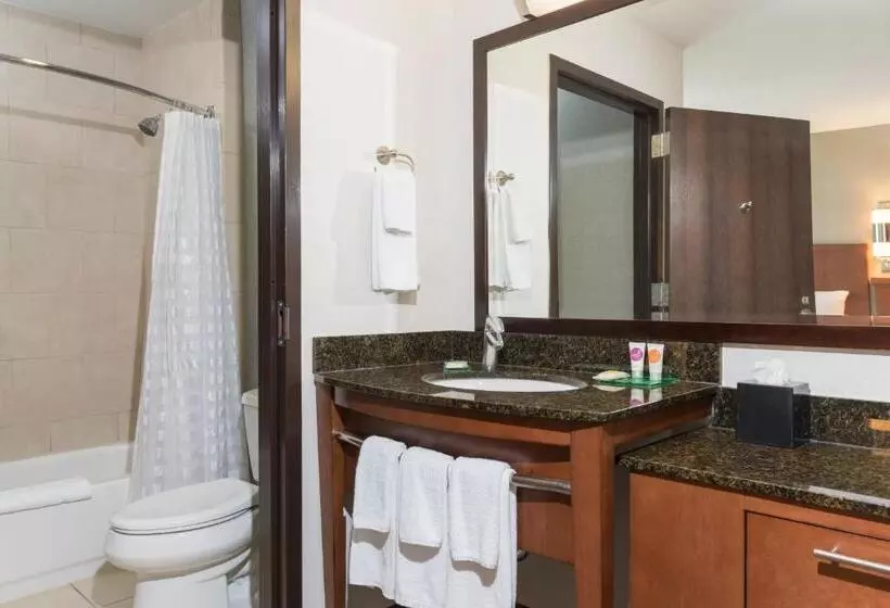 ２ダブルベッドのスタンダードルーム, Hyatt Place Lexington