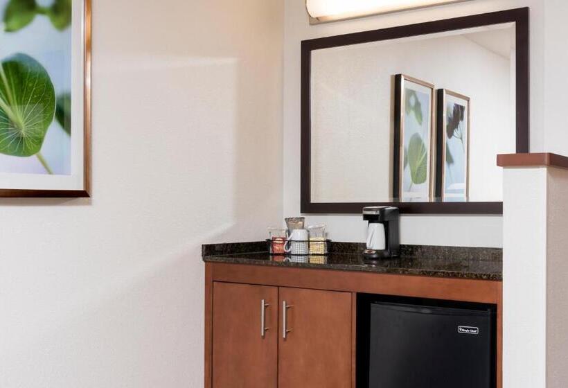 Номер Стандарт 2 Двуспальные Кровати, Hyatt Place Lexington