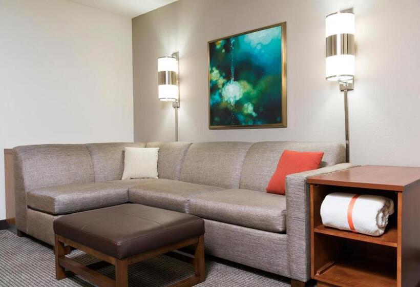 Номер Стандарт 2 Двуспальные Кровати, Hyatt Place Lexington