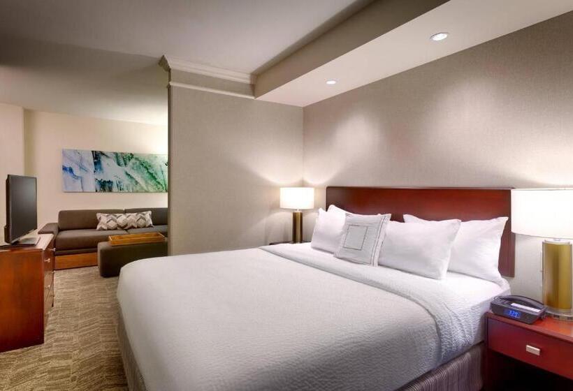 إستوديو قياسى سرير كينج, Springhill Suites Lehi At Thanksgiving Point