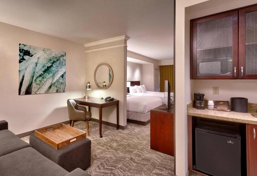 إستوديو قياسى, Springhill Suites Lehi At Thanksgiving Point