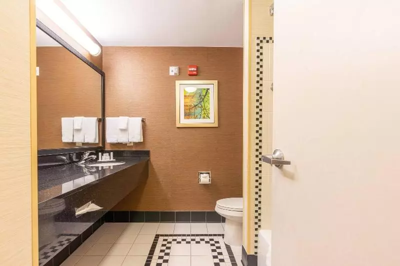 キングサイズベッドのスタンダードルーム, Fairfield Inn & Suites By Marriott Carlisle