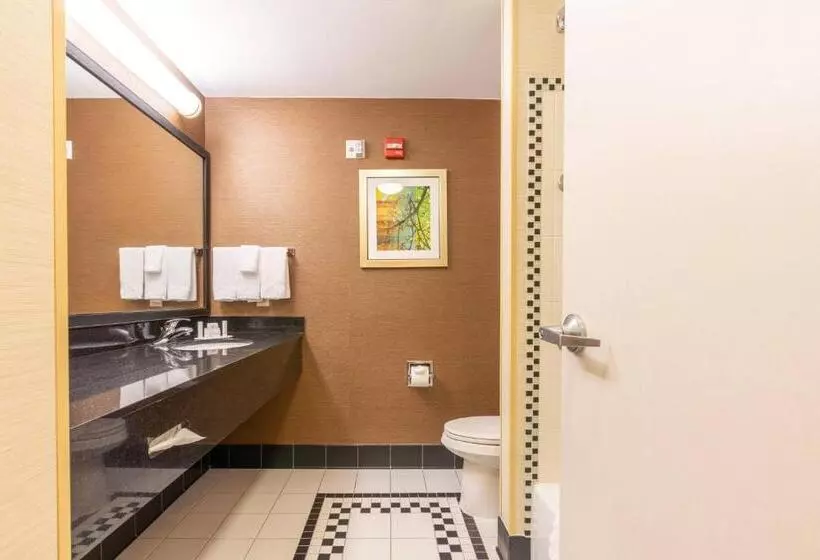 スタンダードルーム, Fairfield Inn & Suites By Marriott Carlisle