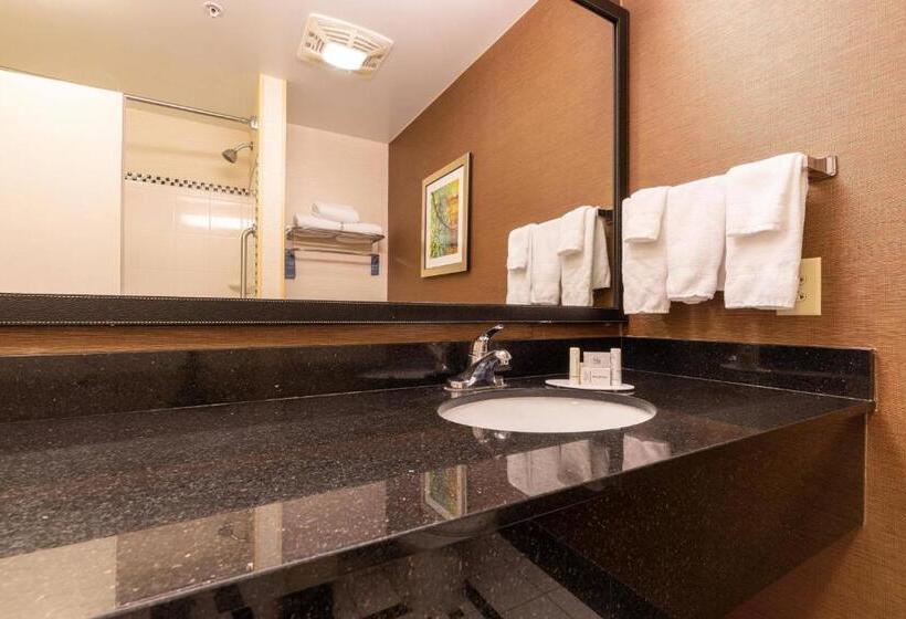 带大床的标准间, Fairfield Inn & Suites By Marriott Carlisle