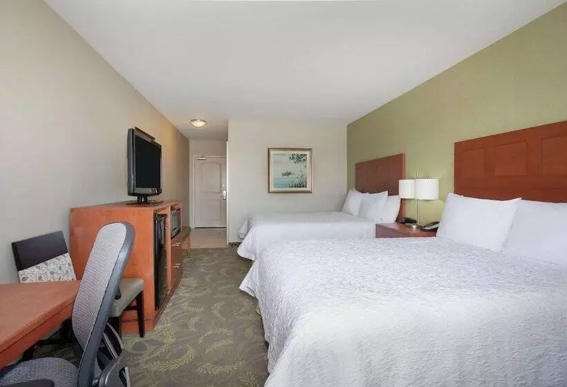 2ダブルベッドのスタンダードルーム, Hampton Inn And Suites Astoria