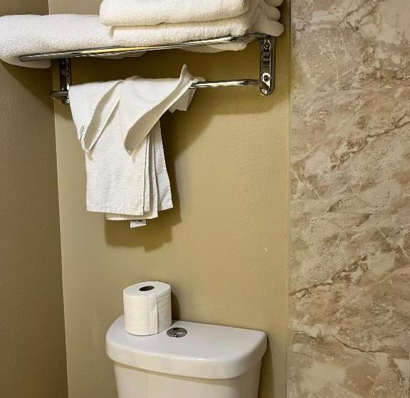 스탠다드 룸 킹사이즈 침대, Highland Inn Las Vegas