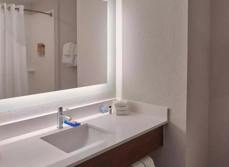 スタンダードルーム, Holiday Inn Express & Suites Akron Regional Airport Area By Ihg