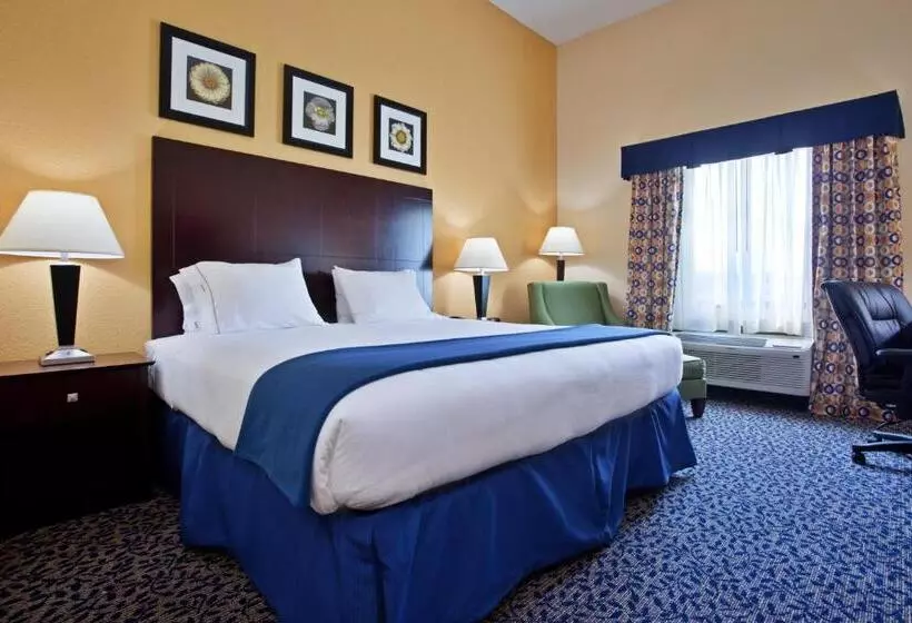 キングサイズベッドのスタンダードルーム, Holiday Inn Express & Suites Akron Regional Airport Area By Ihg