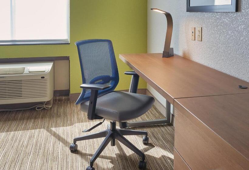 חדר סטנדרט עם מיטת קינג, Holiday Inn Express & Suites Akron Regional Airport Area By Ihg