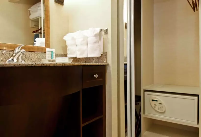 スイート, Homewood Suites By Hilton Toronto Airport Corporate Centre
