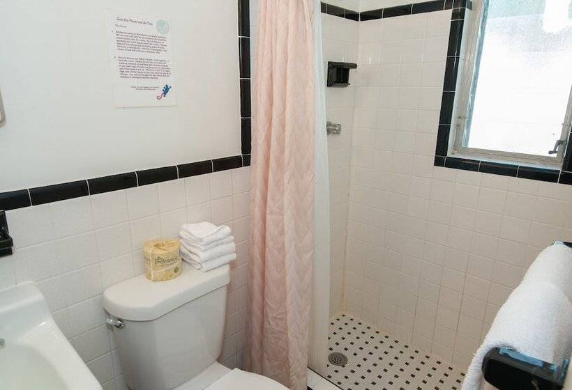 غرفة قياسية, Siesta Motel