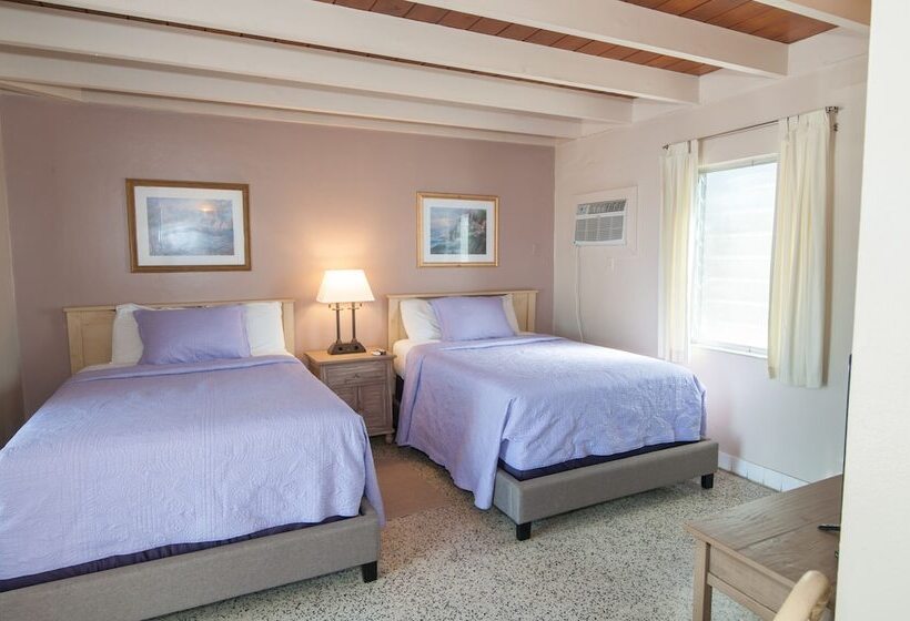 غرفة قياسية, Siesta Motel