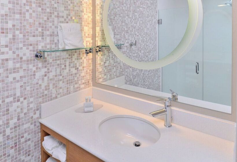 スタンダードスタジオ, Springhill Suites By Marriott Detroit Metro Airport Romulus