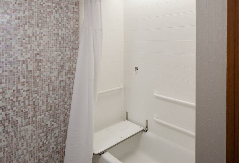 スタンダードスタジオ, Springhill Suites By Marriott Detroit Metro Airport Romulus