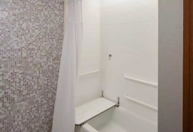 スタンダードスタジオ, Springhill Suites By Marriott Detroit Metro Airport Romulus