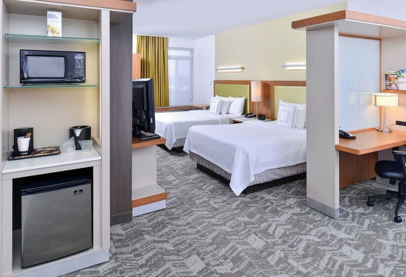 スタンダードスタジオ, Springhill Suites By Marriott Detroit Metro Airport Romulus