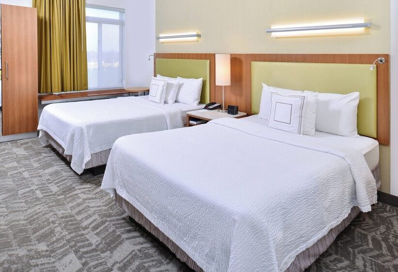 استودیوی استاندارد, Springhill Suites By Marriott Detroit Metro Airport Romulus
