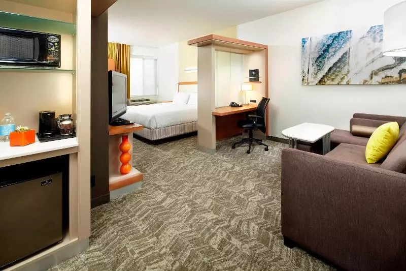 キングサイドベッドのスタンダードワンルーム, Springhill Suites By Marriott Chicago Waukegan/gurnee
