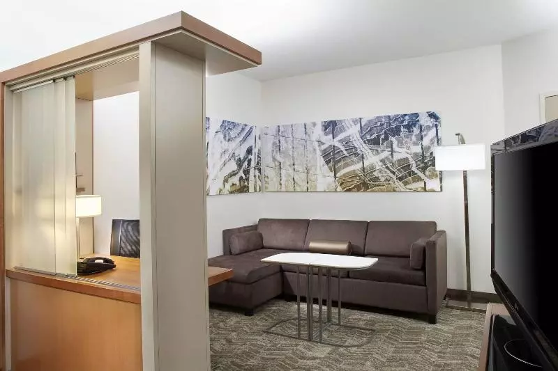 キングサイドベッドのスタンダードワンルーム, Springhill Suites By Marriott Chicago Waukegan/gurnee