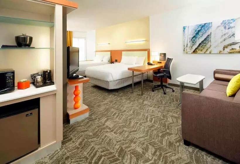 スタンダードスタジオ, Springhill Suites By Marriott Chicago Waukegan/gurnee