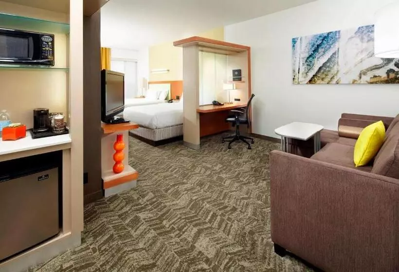 スタンダードスタジオ, Springhill Suites By Marriott Chicago Waukegan/gurnee