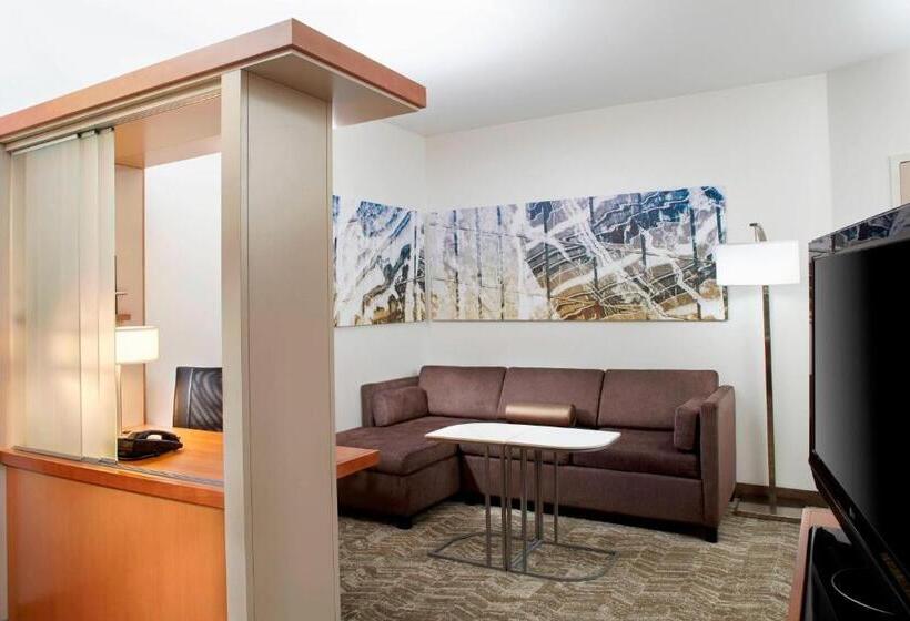 إستوديو قياسى سرير كينج, Springhill Suites By Marriott Chicago Waukegan/gurnee