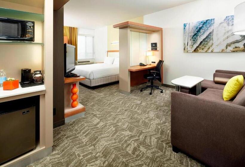 Студио Стандарт Кровать Кинг, Springhill Suites By Marriott Chicago Waukegan/gurnee