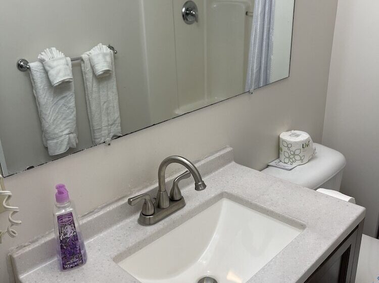 غرفه قياسيه سريرين مزدوجين, Colonial Motel