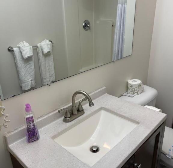 غرفة قياسية سرير كينج, Colonial Motel