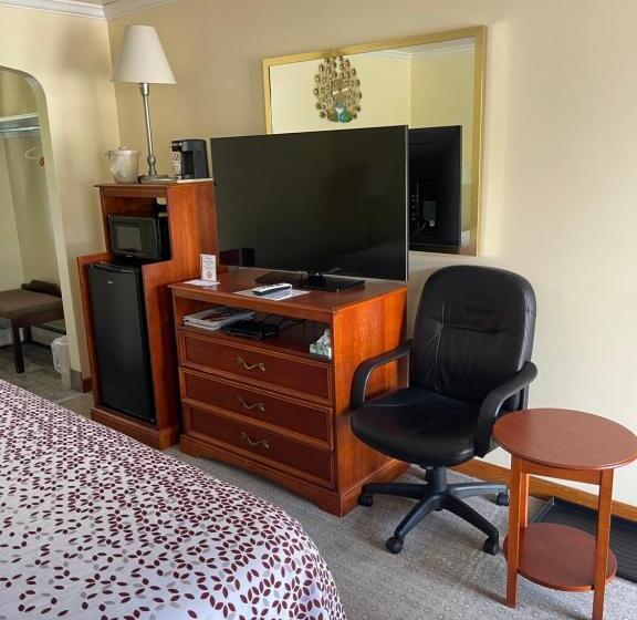 غرفة قياسية سرير كينج, Colonial Motel