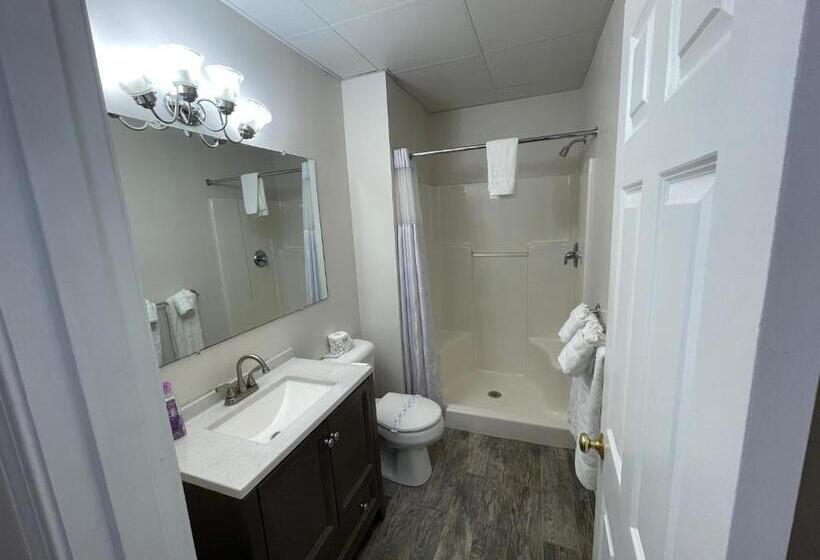 غرفه قياسيه سريرين مزدوجين, Colonial Motel