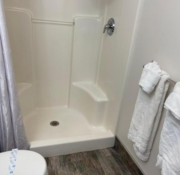 Номер Стандарт 2 Двуспальные Кровати, Colonial Motel