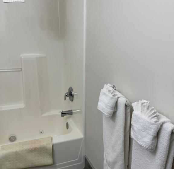 غرفة قياسية, Colonial Motel