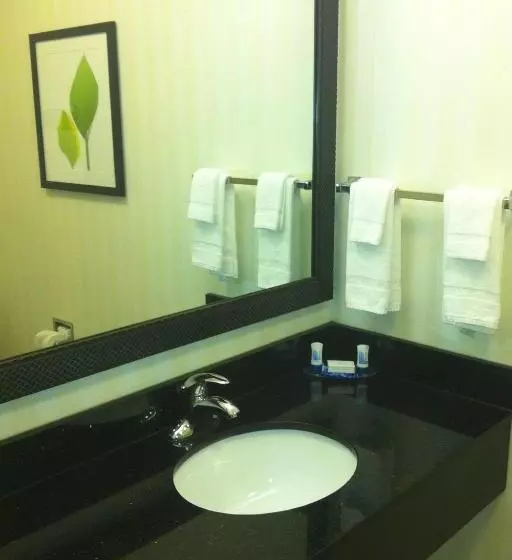 キングサイドベッドのスタンダードワンルーム, Fairfield Inn & Suites Milledgeville