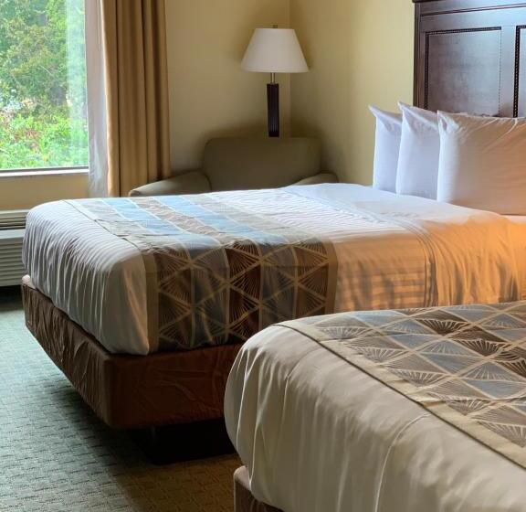 חדר סטנדרט, Ambassador Inn & Suites