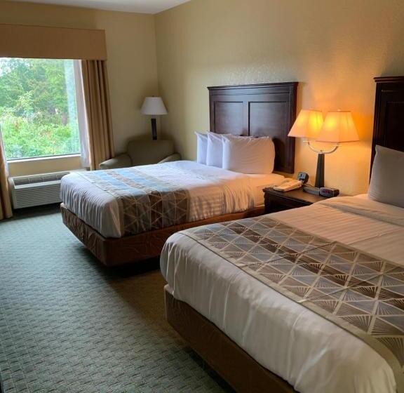 חדר סטנדרט, Ambassador Inn & Suites