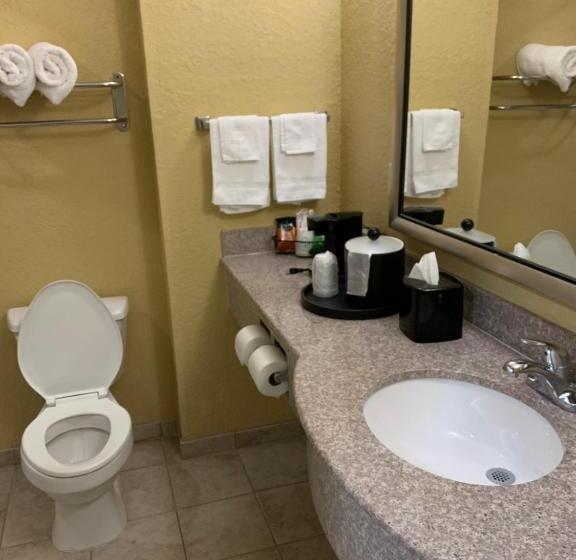 חדר סטנדרט, Ambassador Inn & Suites