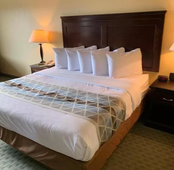 キングサイズベッドのスイートルーム, Ambassador Inn & Suites