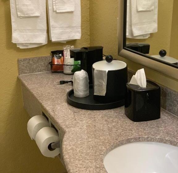 מיטת קינג בסוויטה, Ambassador Inn & Suites