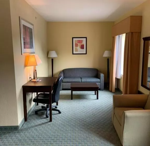 キングサイズベッドのスイートルーム, Ambassador Inn & Suites