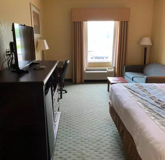 キングサイズベッドのスタンダードルーム, Ambassador Inn & Suites