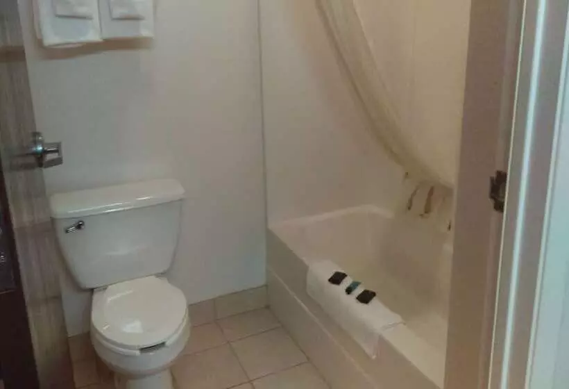 デラックスルーム, Americas Best Value Inn Somerville Texas