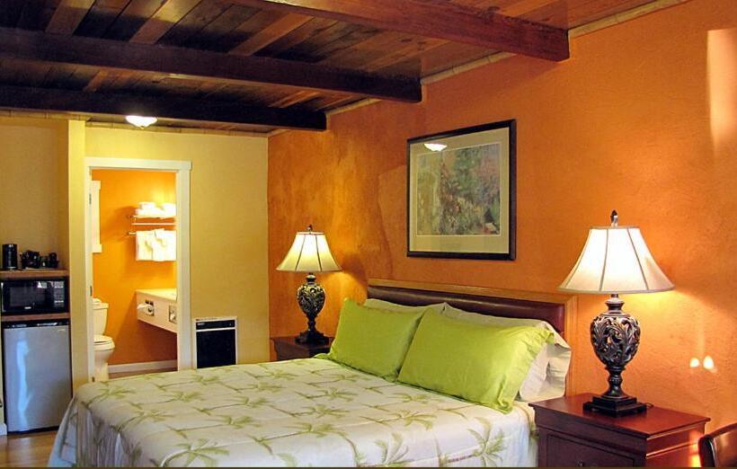 キングサイズベッドのスタンダードルーム, Coast Inn And Spa