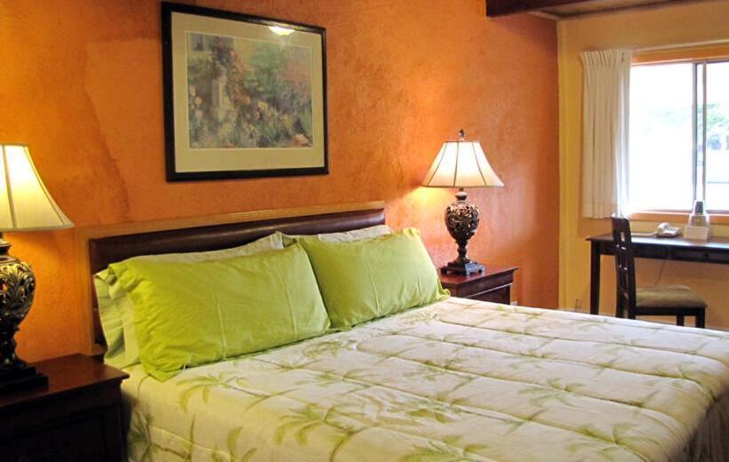 キングサイズベッドのスタンダードルーム, Coast Inn And Spa