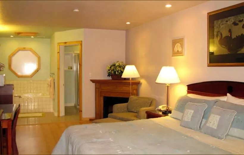 Sviitti King-vuode, Coast Inn And Spa