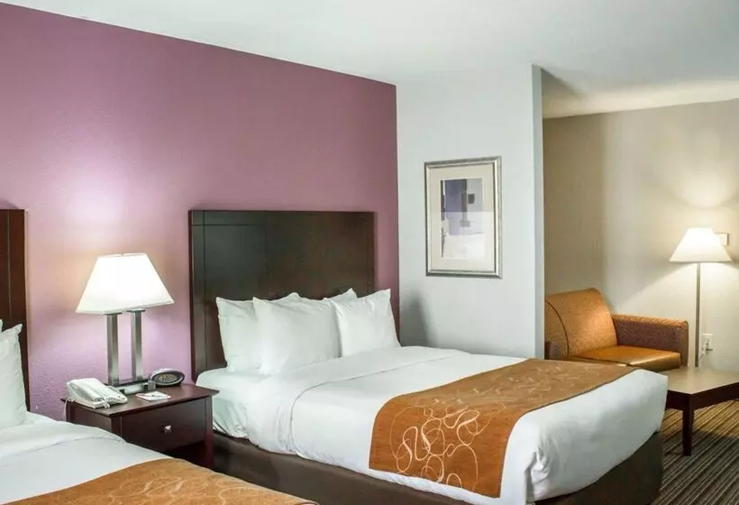 身障者適用スイートルーム, Comfort Suites