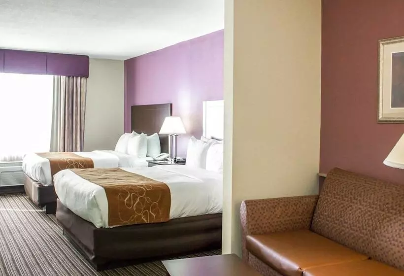 身障者適用スイートルーム, Comfort Suites